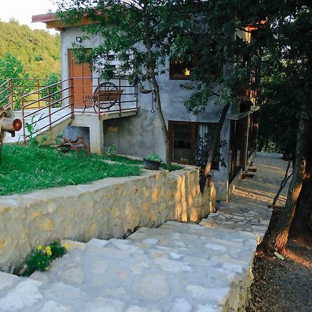 Donkey Farm Martinici - Farma Magaraca Martinici Bed & Breakfast Danilovgrad Exterior photo